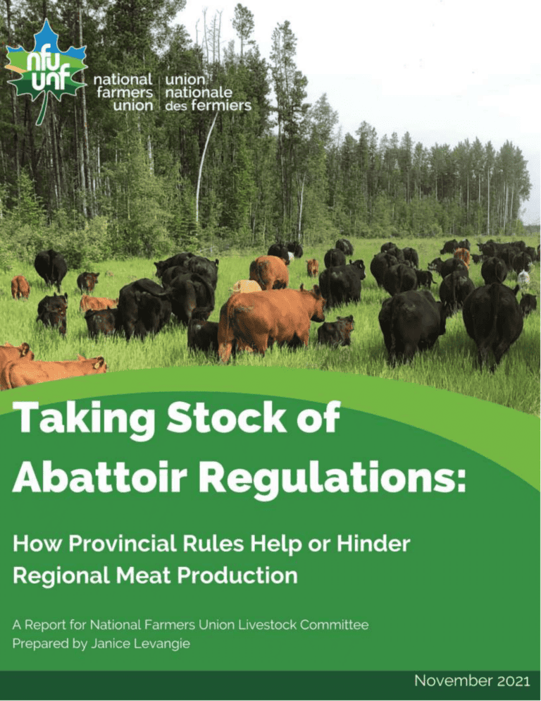 The cover page of the Abattoir Regulations report featuring a herd of cows grazing in a field.