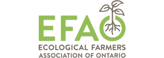 The logo of the ecological farmers association of Ontario with a sprout coming out of the "o".