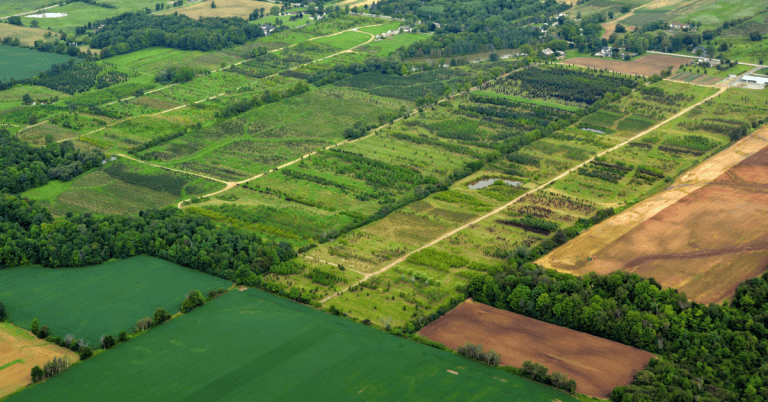 An aerial view of farms and fields in the summer.