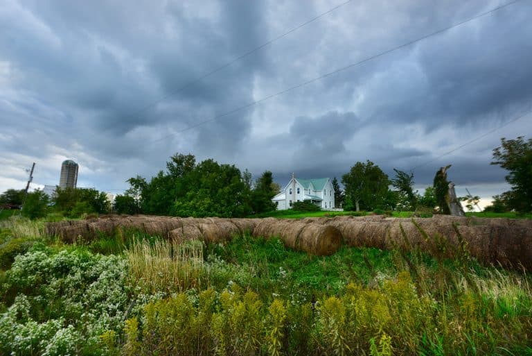 Nfu Ontario Accredited Farm Organization Farm Hay Bales 2500px Hay bales in a field.
