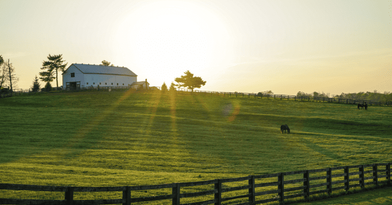 A horse grazes on a farm with a fence and barn in the background, during sunset.