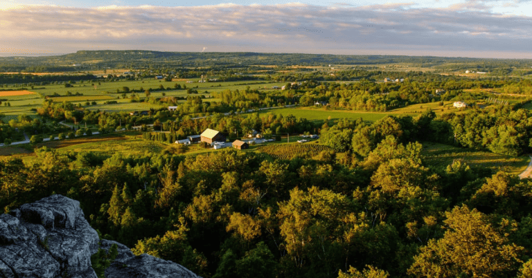 A scenic view of a green field in Ontario, with tall trees dotting the landscape.