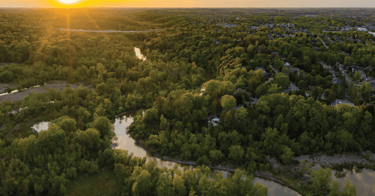 An aerial view of a river and forest at sunset in Ontario.