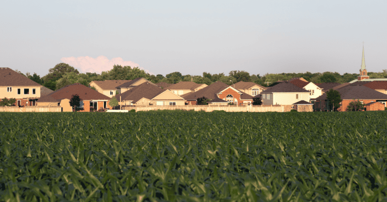 A residential area (background) bordering a farm field (foreground).