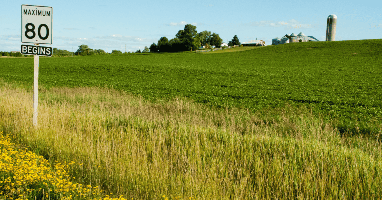 An Ontario road sign amidst a farm field.