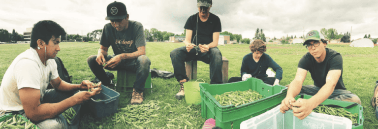 A group of young men are sitting on the grass picking green peas/beans.