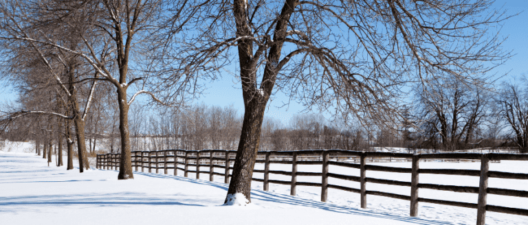 A wooden fence in a snowy field.