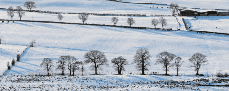 Agriculture field covered in snow.