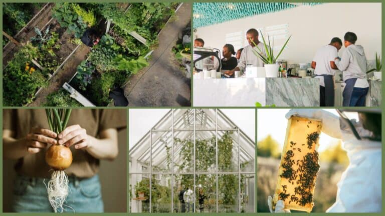A collage of pictures of people working in agriculture and local food systems. Photo source: https://www.localfoodandfarm.coop/