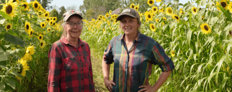 Two farmers stand in a field of sunflowers.