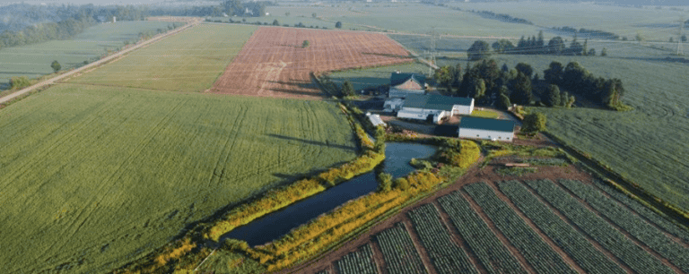 An aerial shot of the Wilmot farmland threatened by expropriation.