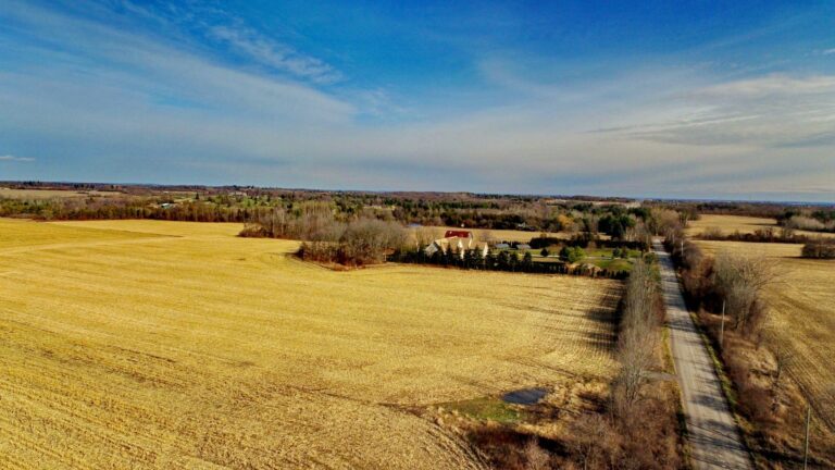 concession-4-looking-east-with-con-4-beneath-the-drone-DJI_0133-scaled