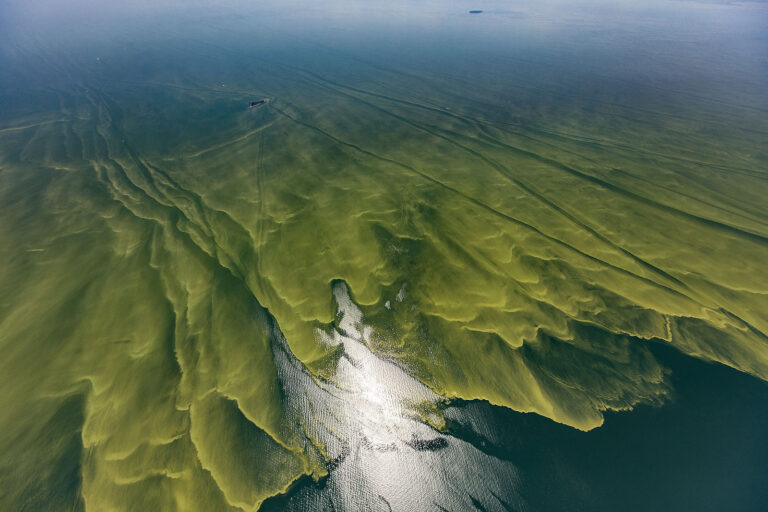 Lake-Erie-algal-blooms-August-2017-Photo-Credit-Aerial-Associates-Photography-Inc.-by-Zachary-Haslick