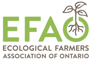 new-EFAO-logo