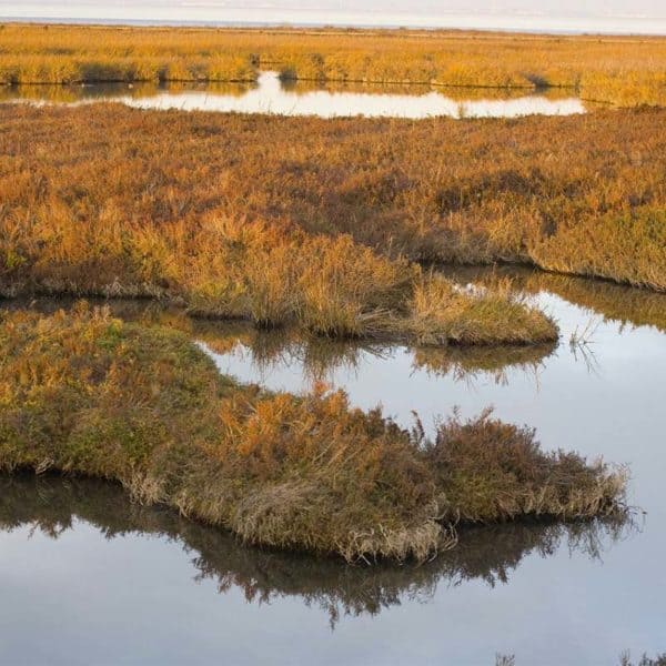 Ecosystem-Services-300x300@2x Ecosystem-Services-300x300@2x