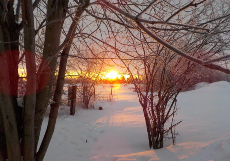 Winter sunset on the farm in Local 341.