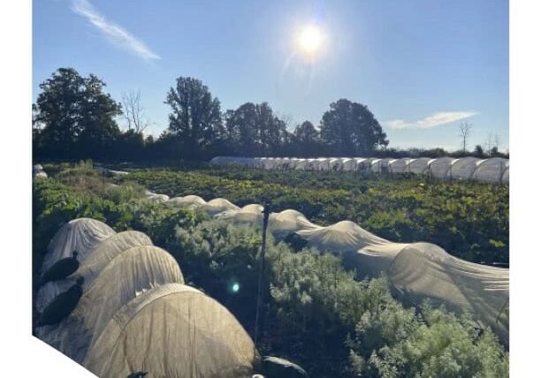 Fields of Opportunity A Guide for Alternative Farmland Access