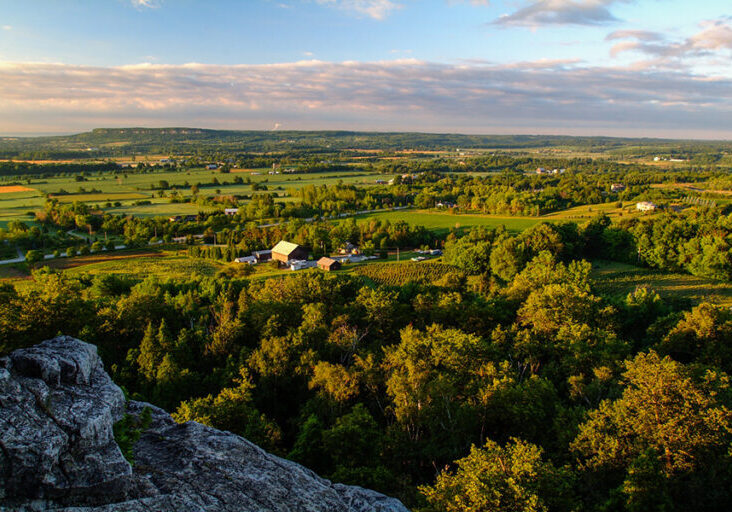 Overlooking the Greenbelt, everything is lush and abundant.