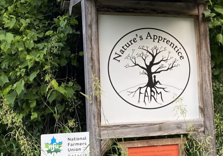 Nature's Apprentice Farm Sign