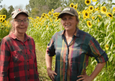 Two farmers stand in a field of sunflowers.