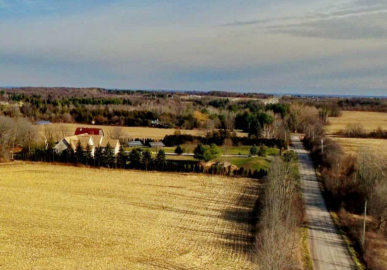 Aerial picture of farmland framed by road.