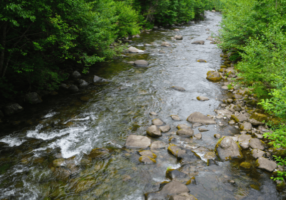 An aerial view of a river in Ontario.