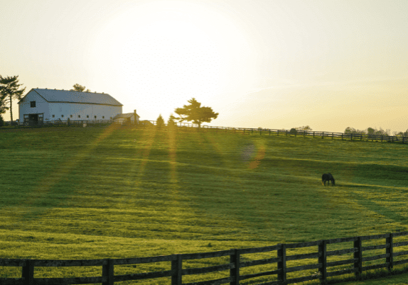 A horse grazes on a farm with a fence and barn in the background, during sunset.