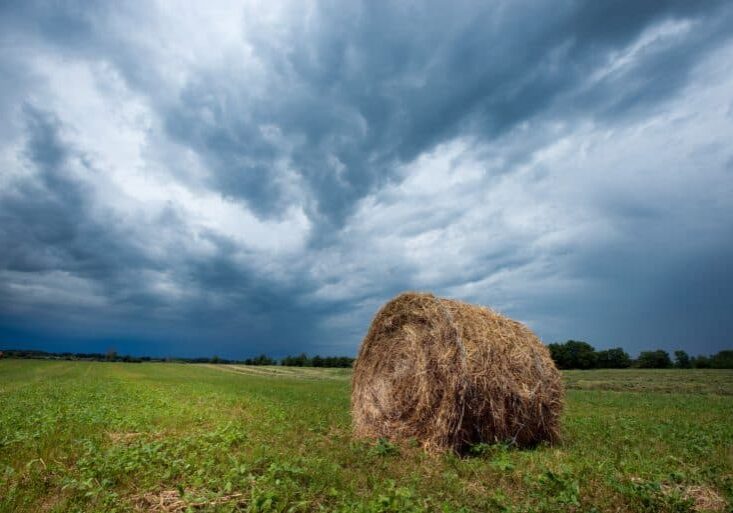 A hay bale in a field under a stormy sky.