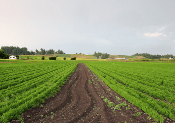 A green farm field with rich soil, and rolling hills in the background.