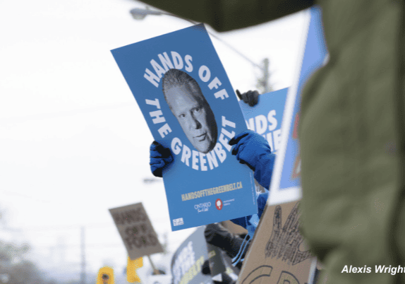 A person holding a protest sign featuring the words "hands off our Greenbelt" and a headshot photo Doug Ford
