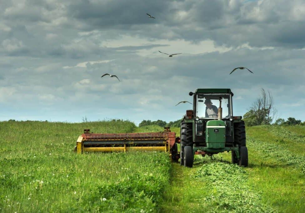 A green tractor in a field cutting hay in Ontario.