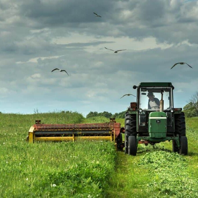 A green tractor in a field cutting hay in Ontario.