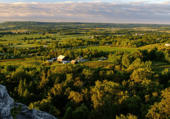 A scenic view of a lush green field in Ontario, dotted with majestic trees.