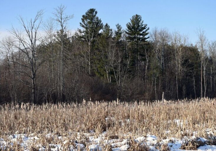 Pickering council has pushed a decision on the future of the lands in northeast Pickering to follow consultation with the Mississaugas of Scugog Island First Nation. Metroland file photo