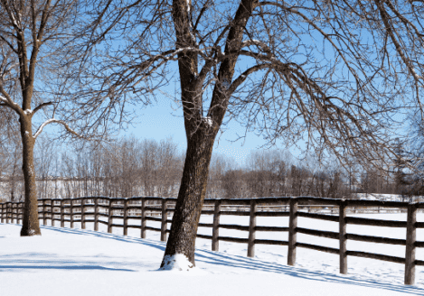 A wooden fence in a snowy field.