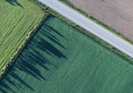 An aerial view of a field and a road.