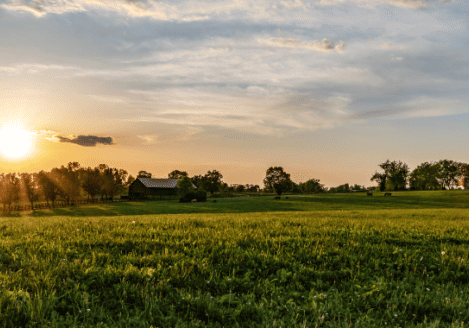 The sun is setting over a green field with a house in the background.