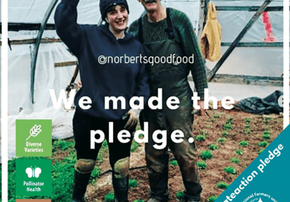 A man and woman standing in a greenhouse with the words we made the pledge.