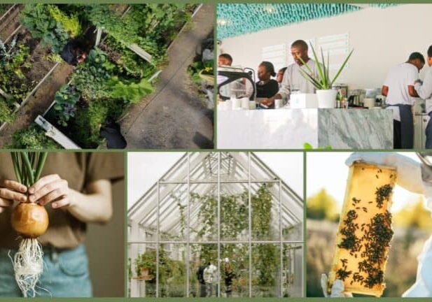 A collage of pictures of people working in agriculture and local food systems. Photo source: https://www.localfoodandfarm.coop/