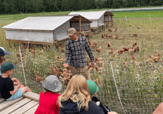 A group of people visiting a farm in Ontario, observing chickens in a fenced area.