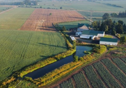 An aerial shot of the Wilmot farmland threatened by expropriation.