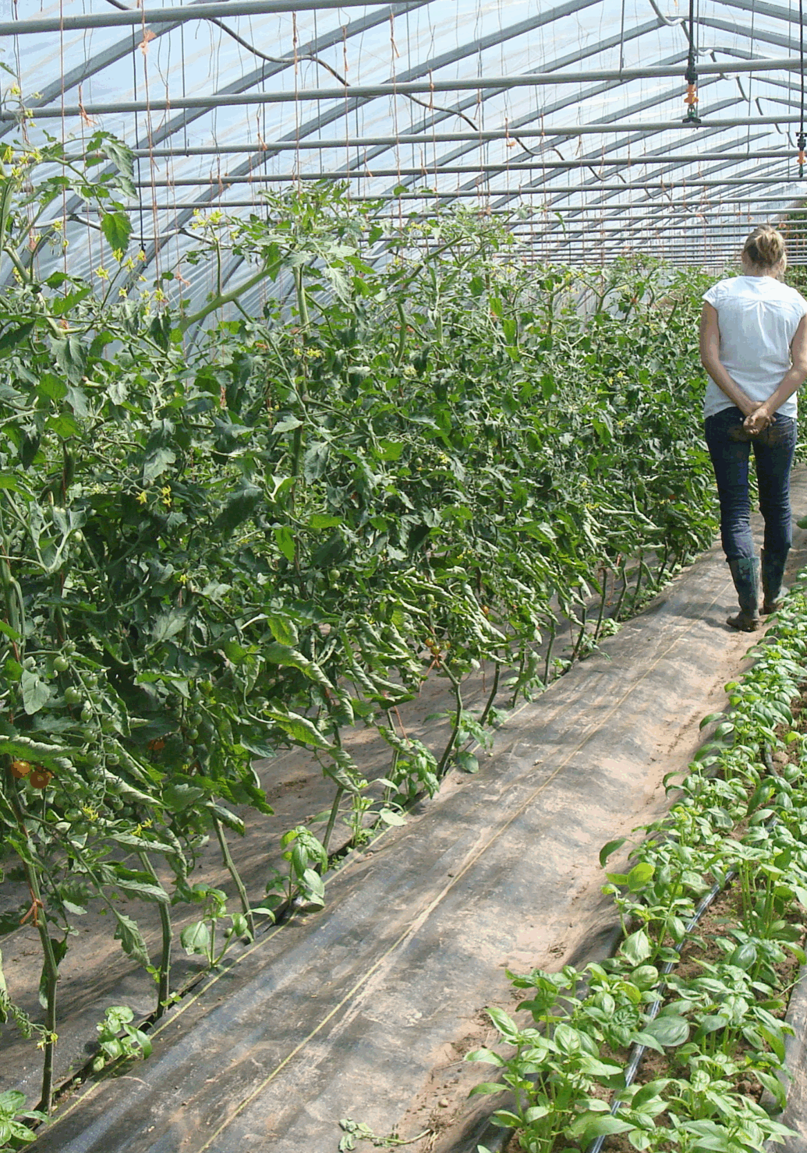 food sovereignty