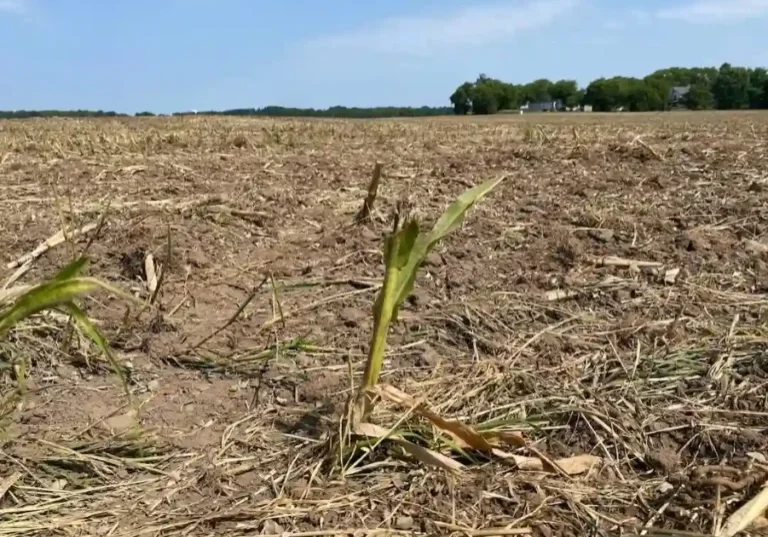 wilmot-farmland-plow